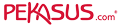 Pekasus.com
